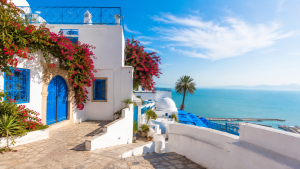 Village bleu et blanc de Sidi Bou Saïd face à la mer
